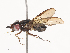  ( - CBG-A38424-E07)  @11 [ ] CreativeCommons - Attribution Share - Alike (2024) CBG Photography Group Centre for Biodiversity Genomics