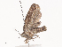  ( - CBG-A40201-C05)  @11 [ ] CreativeCommons - Attribution Share - Alike (2024) CBG Photography Group Centre for Biodiversity Genomics
