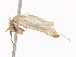  ( - CBG-A40202-E07)  @11 [ ] CreativeCommons - Attribution Share - Alike (2024) CBG Photography Group Centre for Biodiversity Genomics