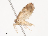  ( - CBG-A40207-A10)  @11 [ ] CreativeCommons - Attribution Share - Alike (2024) CBG Photography Group Centre for Biodiversity Genomics