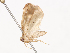  ( - CBG-A40207-B05)  @11 [ ] CreativeCommons - Attribution Share - Alike (2024) CBG Photography Group Centre for Biodiversity Genomics