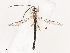  ( - CBG-A40233-A02)  @11 [ ] CreativeCommons - Attribution Share - Alike (2024) CBG Photography Group Centre for Biodiversity Genomics