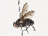  ( - CBG-A40233-D12)  @11 [ ] CreativeCommons - Attribution Share - Alike (2024) CBG Photography Group Centre for Biodiversity Genomics