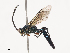  ( - CBG-A40233-E08)  @11 [ ] CreativeCommons - Attribution Share - Alike (2024) CBG Photography Group Centre for Biodiversity Genomics