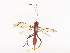  ( - CBG-A40237-G11)  @11 [ ] CreativeCommons - Attribution Share - Alike (2024) CBG Photography Group Centre for Biodiversity Genomics
