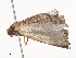  ( - CBG-A40238-C03)  @11 [ ] CreativeCommons - Attribution Share - Alike (2024) CBG Photography Group Centre for Biodiversity Genomics