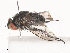  ( - CBG-A40238-E09)  @11 [ ] CreativeCommons - Attribution Share - Alike (2024) CBG Photography Group Centre for Biodiversity Genomics