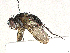  ( - CBG-A40239-H08)  @11 [ ] CreativeCommons - Attribution Share-Alike (2024) CBG Photography Group Centre for Biodiversity Genomics