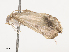  ( - CBG-A38416-E04)  @11 [ ] CreativeCommons - Attribution Share - Alike (2024) CBG Photography Group Centre for Biodiversity Genomics