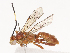  ( - CBG-A38471-D06)  @11 [ ] CreativeCommons - Attribution Share - Alike (2024) CBG Photography Group Centre for Biodiversity Genomics