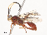  ( - CBG-A38472-C01)  @11 [ ] CreativeCommons - Attribution Share - Alike (2024) CBG Photography Group Centre for Biodiversity Genomics