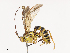  ( - CBG-A40193-C12)  @11 [ ] CreativeCommons - Attribution Share - Alike (2024) CBG Photography Group Centre for Biodiversity Genomics