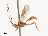  ( - CBG-A40193-D12)  @11 [ ] CreativeCommons - Attribution Share - Alike (2024) CBG Photography Group Centre for Biodiversity Genomics