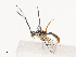  ( - CBG-A40193-H05)  @11 [ ] CreativeCommons - Attribution Share - Alike (2024) CBG Photography Group Centre for Biodiversity Genomics