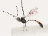  ( - CBG-A40194-E01)  @11 [ ] CreativeCommons - Attribution Share - Alike (2024) CBG Photography Group Centre for Biodiversity Genomics