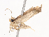  ( - CBG-A40198-G05)  @11 [ ] CreativeCommons - Attribution Share - Alike (2024) CBG Photography Group Centre for Biodiversity Genomics