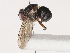  ( - CBG-A40217-A06)  @11 [ ] CreativeCommons - Attribution Share - Alike (2024) CBG Photography Group Centre for Biodiversity Genomics