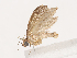  ( - CBG-A40218-E10)  @11 [ ] CreativeCommons - Attribution Share - Alike (2024) CBG Photography Group Centre for Biodiversity Genomics