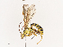  ( - CBG-A40220-B03)  @11 [ ] CreativeCommons - Attribution Share - Alike (2024) CBG Photography Group Centre for Biodiversity Genomics