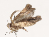  ( - CBG-A40220-C01)  @11 [ ] CreativeCommons - Attribution Share - Alike (2024) CBG Photography Group Centre for Biodiversity Genomics