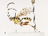  ( - CBG-A40220-C05)  @11 [ ] CreativeCommons - Attribution Share - Alike (2024) CBG Photography Group Centre for Biodiversity Genomics