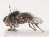  ( - CBG-A40220-H11)  @11 [ ] CreativeCommons - Attribution Share - Alike (2024) CBG Photography Group Centre for Biodiversity Genomics