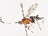  ( - CBG-A40222-B11)  @11 [ ] CreativeCommons - Attribution Share - Alike (2024) CBG Photography Group Centre for Biodiversity Genomics