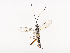  ( - CBG-A40222-D08)  @11 [ ] CreativeCommons - Attribution Share - Alike (2024) CBG Photography Group Centre for Biodiversity Genomics