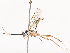  ( - CBG-A40078-C09)  @11 [ ] CreativeCommons - Attribution Share - Alike (2024) CBG Photography Group Centre for Biodiversity Genomics