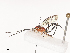  ( - CBG-A40078-F02)  @11 [ ] CreativeCommons - Attribution Share - Alike (2024) CBG Photography Group Centre for Biodiversity Genomics