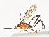  ( - CBG-A40079-A04)  @11 [ ] CreativeCommons - Attribution Share - Alike (2024) CBG Photography Group Centre for Biodiversity Genomics