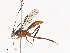  ( - CBG-A40079-D12)  @11 [ ] CreativeCommons - Attribution Share - Alike (2024) CBG Photography Group Centre for Biodiversity Genomics
