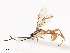  ( - CBG-A40079-F06)  @11 [ ] CreativeCommons - Attribution Share - Alike (2024) CBG Photography Group Centre for Biodiversity Genomics