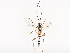  ( - CBG-A40080-A05)  @11 [ ] CreativeCommons - Attribution Share - Alike (2024) CBG Photography Group Centre for Biodiversity Genomics