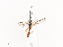  ( - CBG-A40080-B01)  @11 [ ] CreativeCommons - Attribution Share - Alike (2024) CBG Photography Group Centre for Biodiversity Genomics