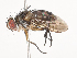  ( - CBG-A40080-D01)  @11 [ ] CreativeCommons - Attribution Share - Alike (2024) CBG Photography Group Centre for Biodiversity Genomics
