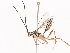  ( - CBG-A40080-E04)  @11 [ ] CreativeCommons - Attribution Share - Alike (2024) CBG Photography Group Centre for Biodiversity Genomics