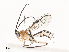  ( - CBG-A40080-F01)  @11 [ ] CreativeCommons - Attribution Share - Alike (2024) CBG Photography Group Centre for Biodiversity Genomics