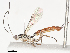  ( - CBG-A41833-A01)  @11 [ ] CreativeCommons - Attribution Share - Alike (2024) CBG Photography Group Centre for Biodiversity Genomics