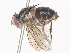  ( - CBG-A41833-D12)  @11 [ ] CreativeCommons - Attribution Share - Alike (2024) CBG Photography Group Centre for Biodiversity Genomics