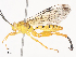  ( - CBG-A41833-E10)  @11 [ ] CreativeCommons - Attribution Share - Alike (2024) CBG Photography Group Centre for Biodiversity Genomics