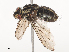  ( - CBG-A41834-C03)  @11 [ ] CreativeCommons - Attribution Share - Alike (2024) CBG Photography Group Centre for Biodiversity Genomics
