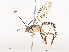  ( - CBG-A41834-E10)  @11 [ ] CreativeCommons - Attribution Share - Alike (2024) CBG Photography Group Centre for Biodiversity Genomics