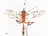  ( - CBG-A41834-G06)  @11 [ ] CreativeCommons - Attribution Share - Alike (2024) CBG Photography Group Centre for Biodiversity Genomics