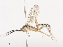  ( - CBG-A41835-A12)  @11 [ ] CreativeCommons - Attribution Share - Alike (2024) CBG Photography Group Centre for Biodiversity Genomics