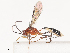  ( - CBG-A41835-B11)  @11 [ ] CreativeCommons - Attribution Share - Alike (2024) CBG Photography Group Centre for Biodiversity Genomics