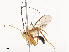  ( - CBG-A41835-G09)  @11 [ ] CreativeCommons - Attribution Share - Alike (2024) CBG Photography Group Centre for Biodiversity Genomics