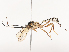  ( - CBG-A41836-A02)  @11 [ ] CreativeCommons - Attribution Share - Alike (2024) CBG Photography Group Centre for Biodiversity Genomics