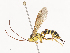  ( - CBG-A41837-G05)  @11 [ ] CreativeCommons - Attribution Share - Alike (2024) CBG Photography Group Centre for Biodiversity Genomics
