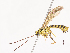  ( - CBG-A41837-G12)  @11 [ ] CreativeCommons - Attribution Share - Alike (2024) CBG Photography Group Centre for Biodiversity Genomics